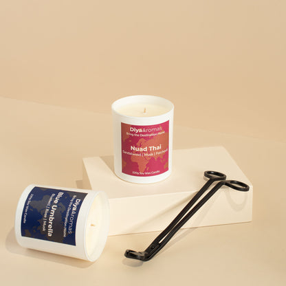 Candle Wick Trimmer